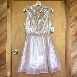 Light Pink Embroidered Semi-Formal Short Dress